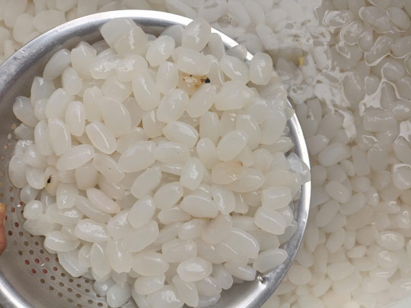 Hạt đác tươi tại TpHCM
