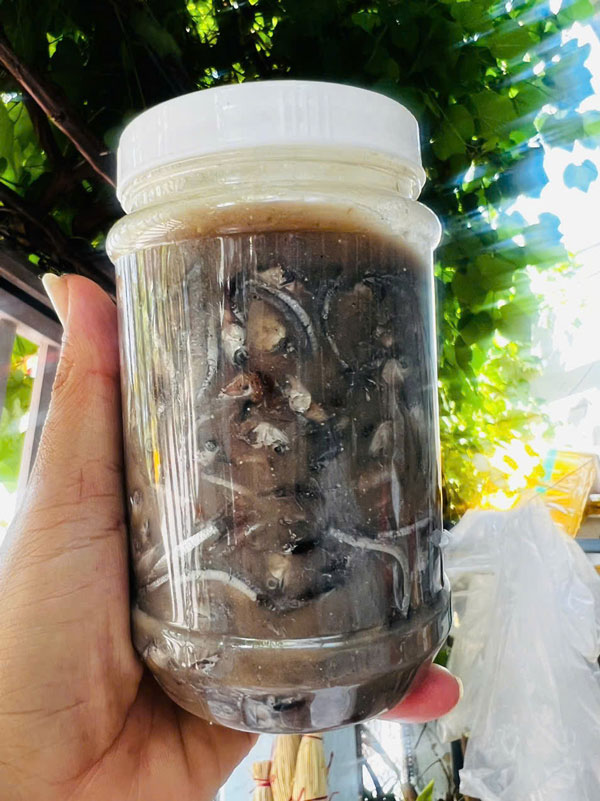 Đặc sản của Quảng Nam-mắm cái