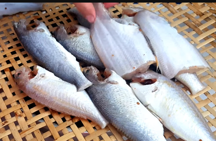 Hướng dẫn làm khô cá đù 1 nắng