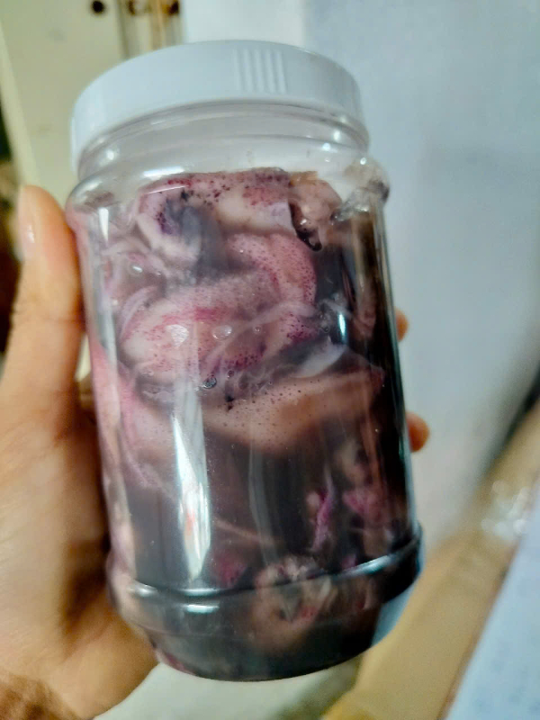 Đặc sản Bình ĐỊnh mắm mực