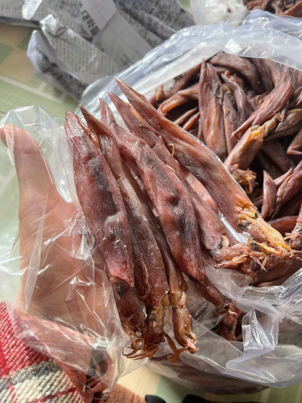 Đặc sản Nha Trang mực muối-1