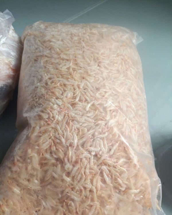 Hướng dẫn chọn tép khô